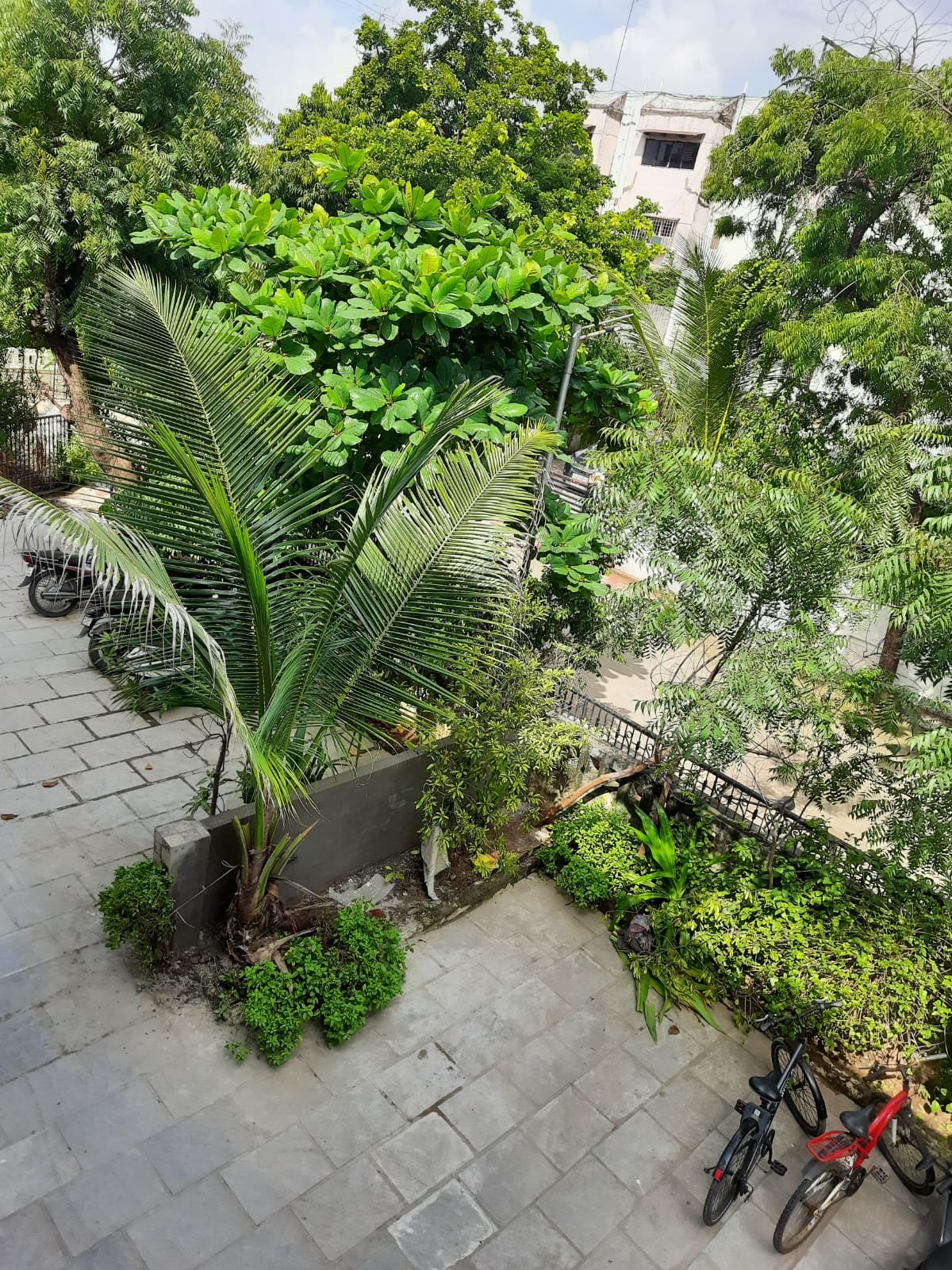 Ajanta Park PG photo 1