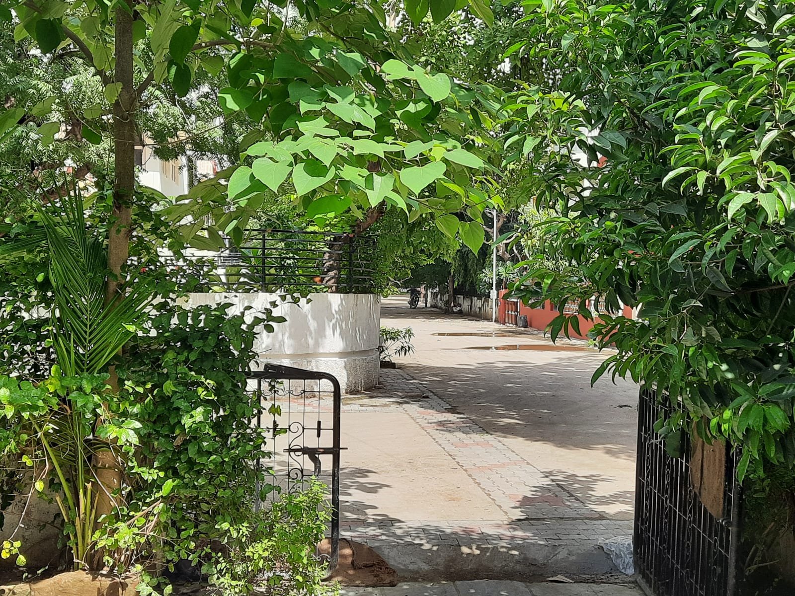 Ajanta Park PG photo 2