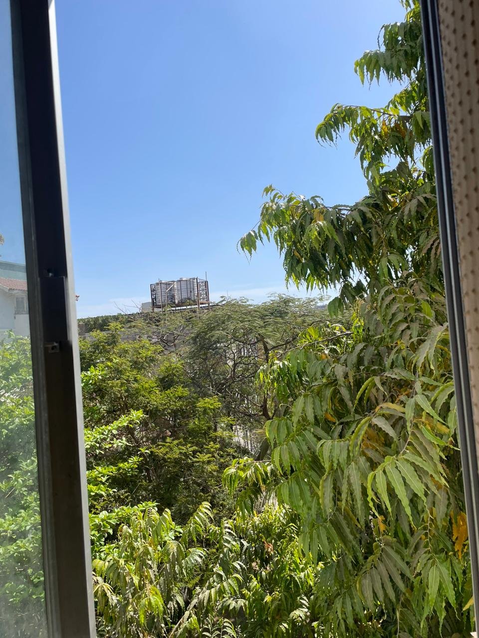 Anandview PG photo 3